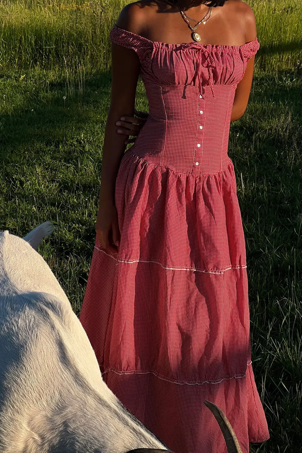 Christabelle Ruffle Maxi Dress