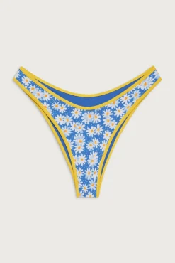 Dove Classic Bikini Bottom