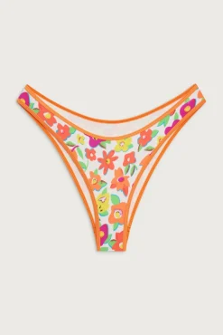 Dove Shine Classic Bikini Bottom