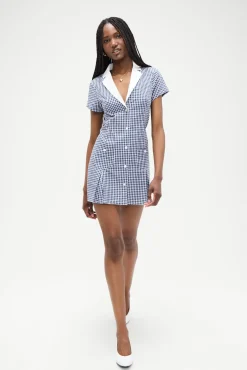Garden Gingham Mini Dress